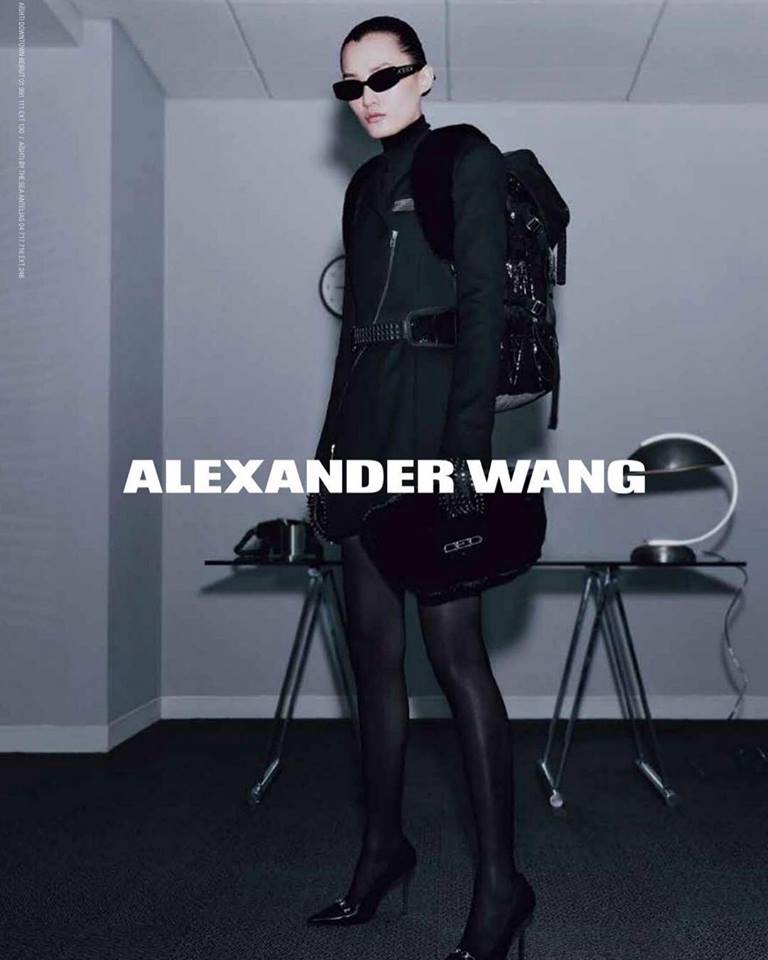 alexander wang 2018